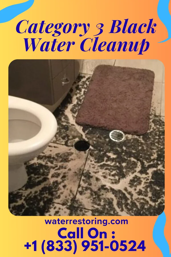 Category 3 Black Water Cleanup in West Elizabeth, PA