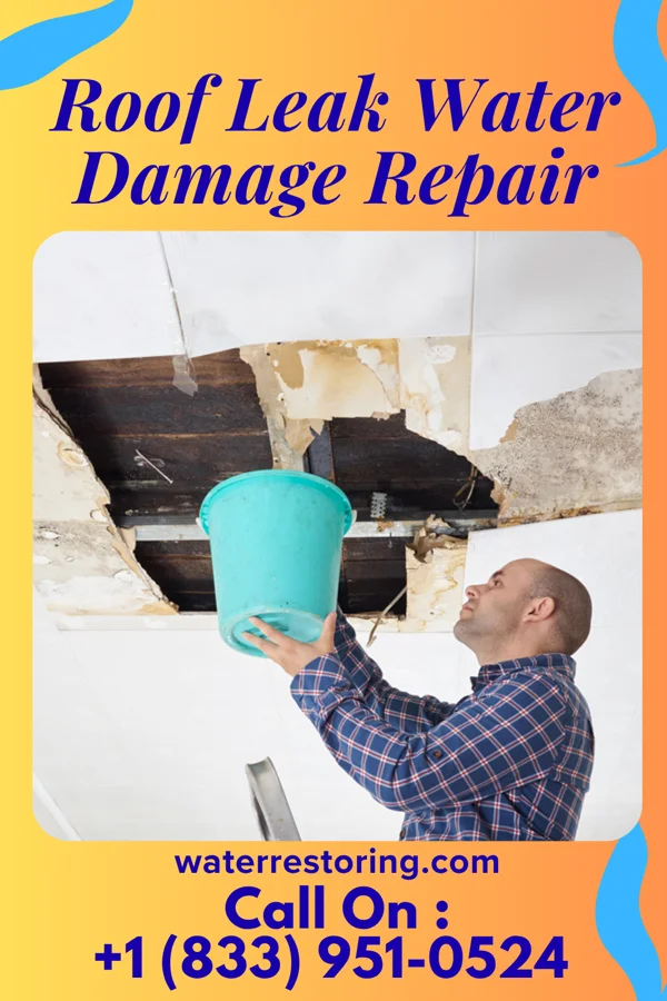 Roof Leak Water Damage Repair in West Elizabeth, PA