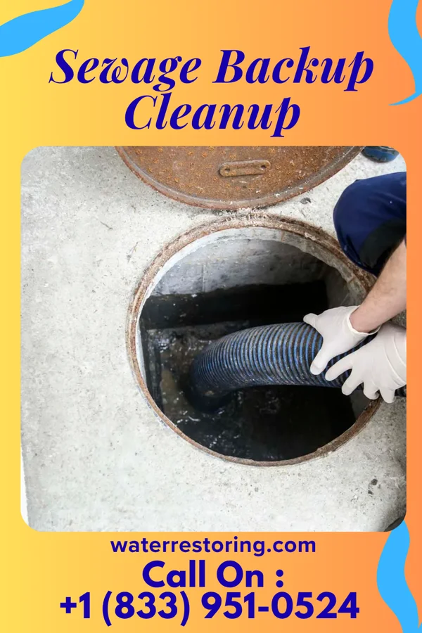 Sewage Backup Cleanup in West Elizabeth, PA