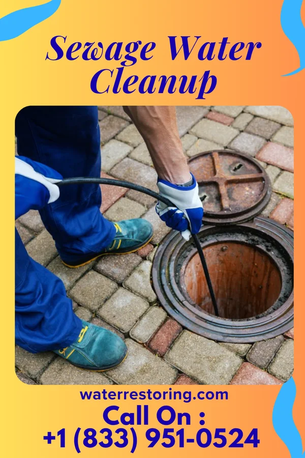 Sewage Water Cleanup in West Elizabeth, PA
