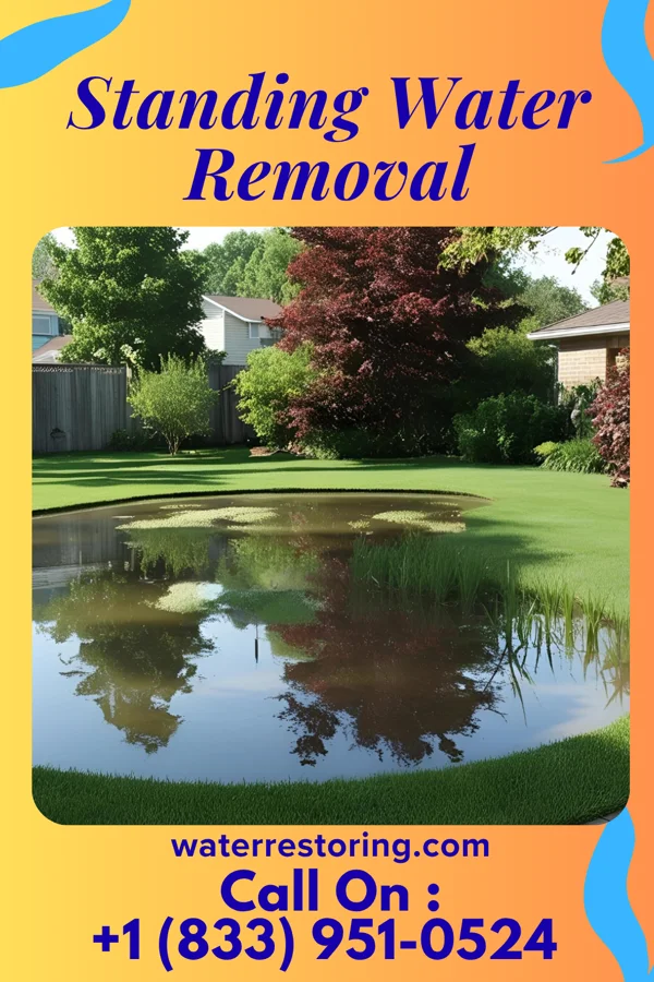 Standing Water Removal in West Elizabeth, PA